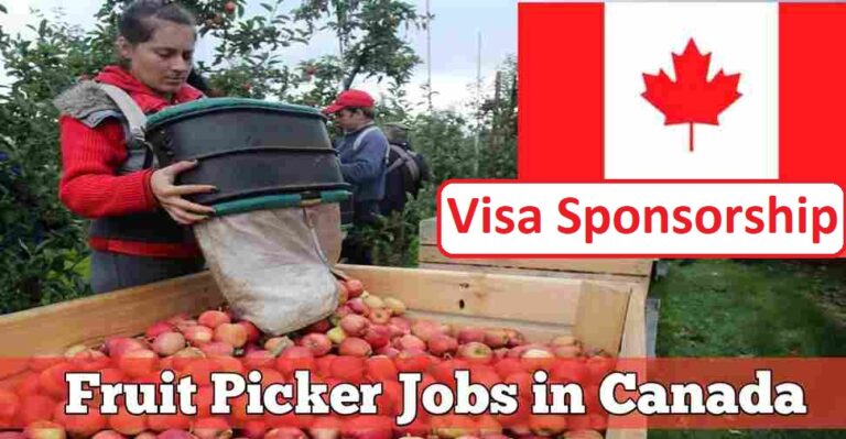 Opportunities for Foreigners in Canadian Fruit Farming with Visa Sponsorship – Apply Today