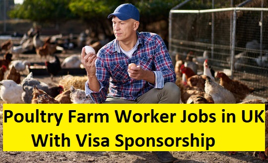 Poultry Farm Worker Jobs in UK With Visa Sponsorship