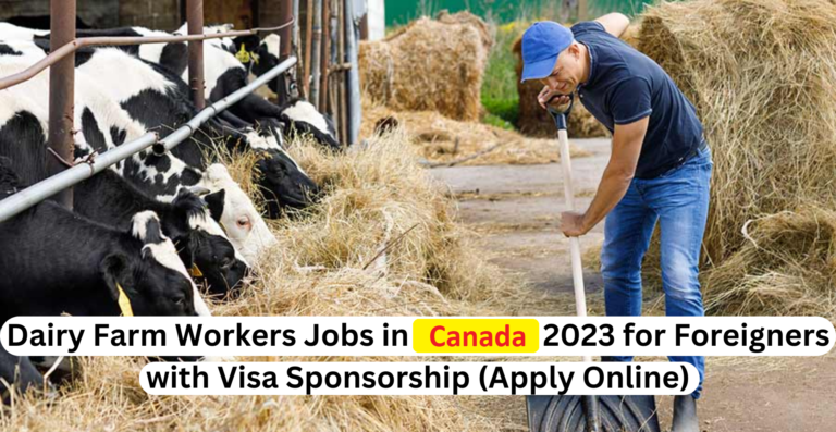 Dairy Farm Workers in Canada For Foreigners with Free Visa – Apply Now