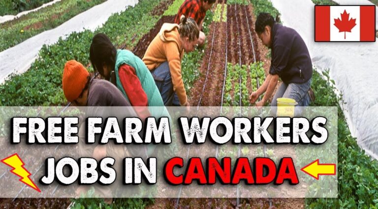 General Labourer – Farm in Canada For Foreigners Free Visa – Apply Now