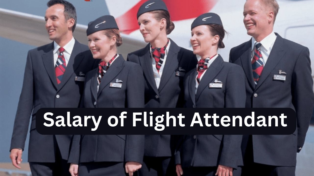 Salary of Flight Attendant in USA | Per Hour & Per Year